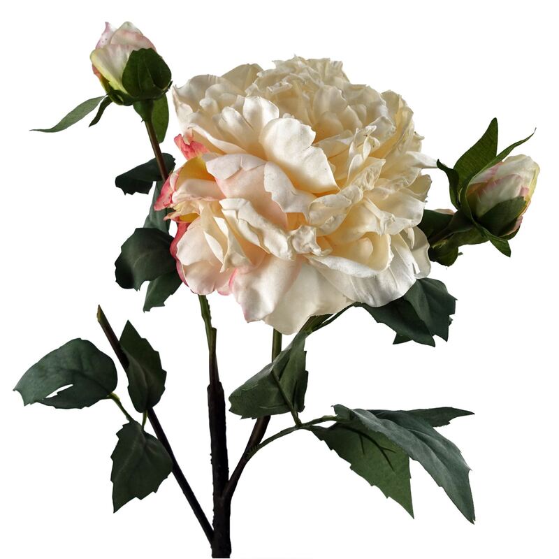 Leaf 60cm Artificial Cream Peony Flower - 1 Bloom, 3 Buds