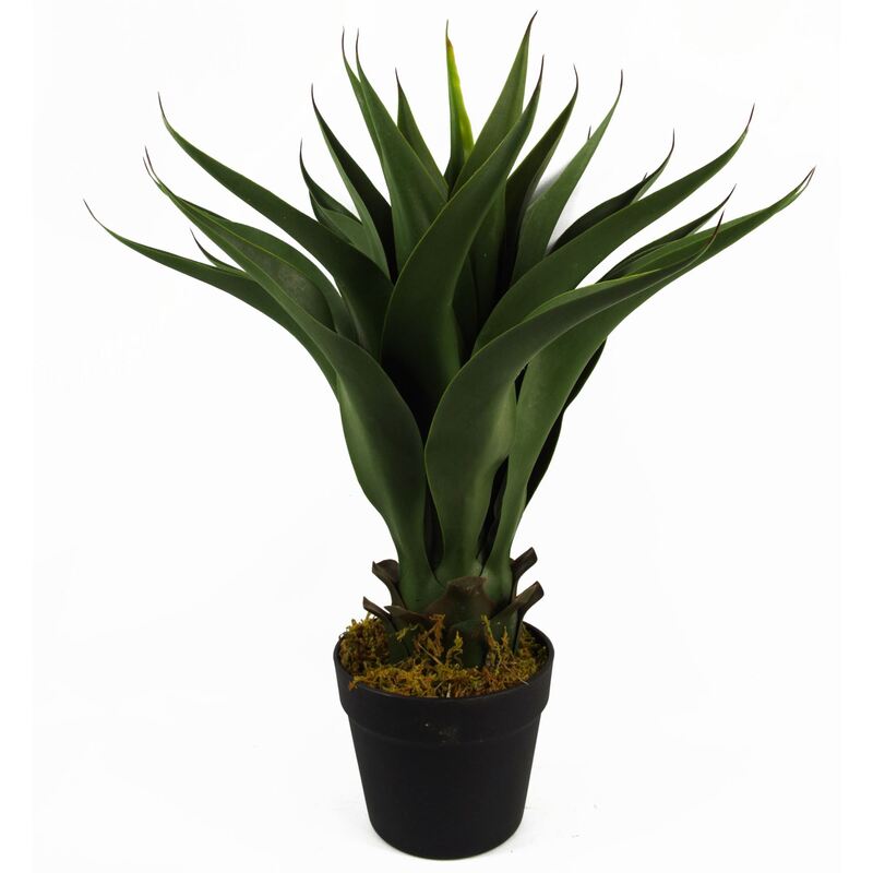 Leaf 55cm Artificial Yucca Plant - Realistic, Low Maintenance, Pet-friendly