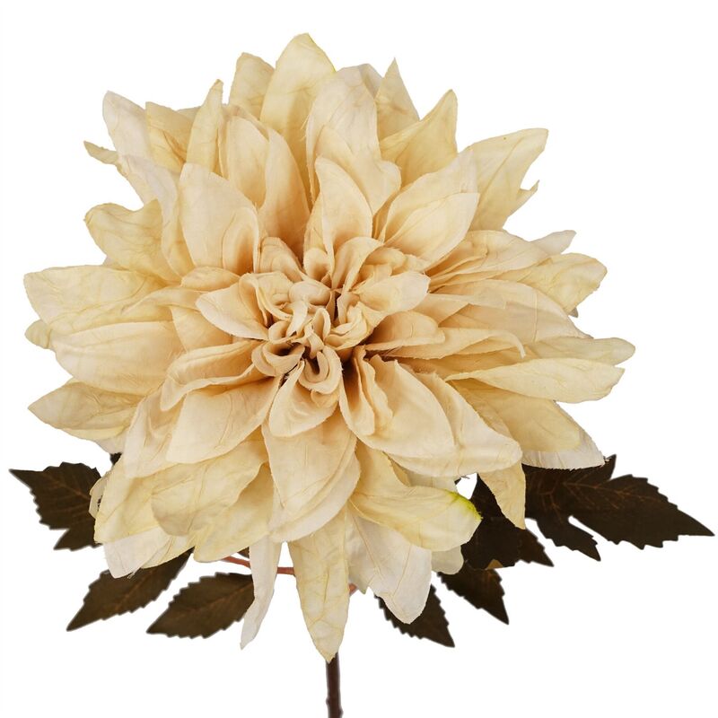 Leaf 55cm Dahlia Flower Stem - Dusty Cream