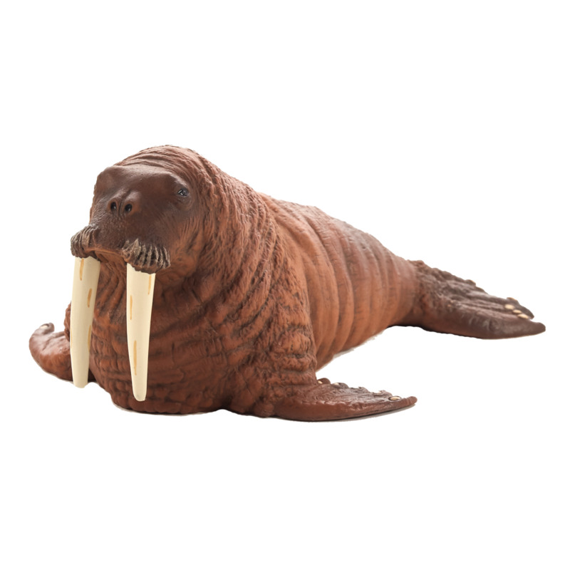 Mojofun Realistic Walrus Toy – Arctic Wildlife Figurine