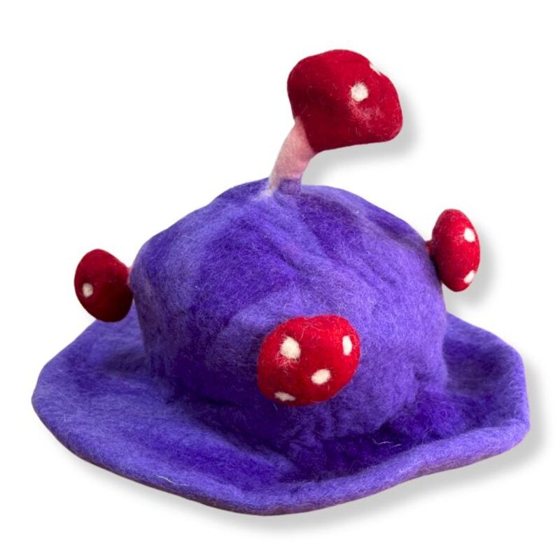 Wool Felted Mushroom Hat - Purple Haze
